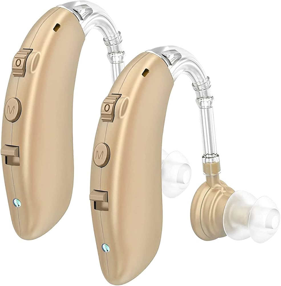 Two hearing aids